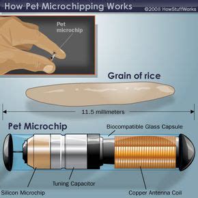 microchip insertion patent